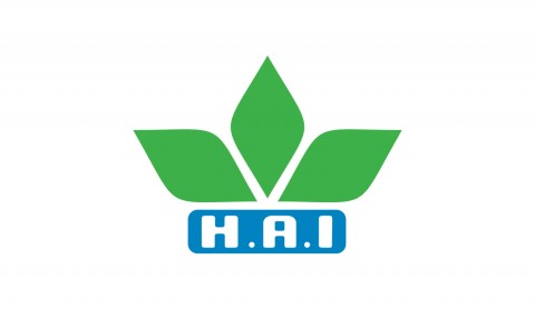 Dịch vụ thiết kế logo công ty